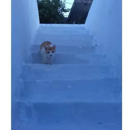 Katerinas House * Koronos