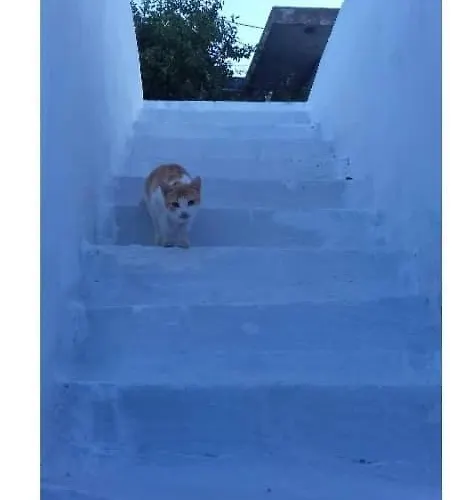 Katerinas House * Koronos